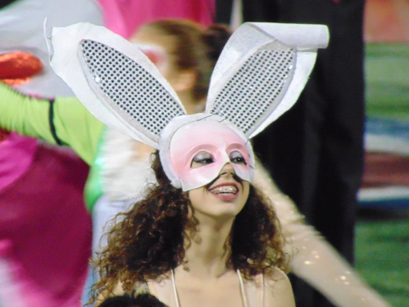 rabbit